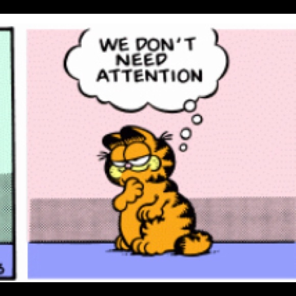 Meet your Posher, Sam - Picture 1 of 1